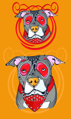 Calavera Pitbull