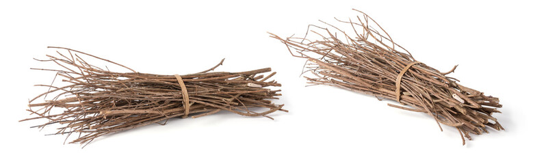 bundle of firewood, pieces of collected small dry tree branches or twigs, isolated in white...