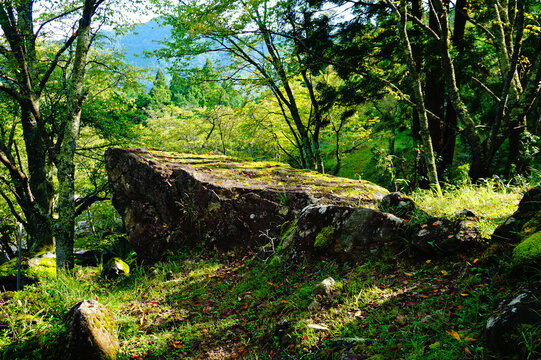 Ritsuunkyo in the early morning with beautiful greenery, Wadayama town, Asago City, Hyogo Prefecture, Japan