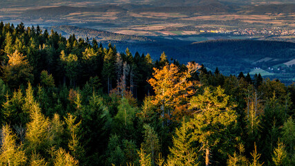 Views from the tower on the Jagodna / Poland mountain