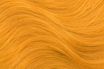 Red hair. Background hair closeup. Female long red-haired close-up as a background. Beautifully laid carroty wavy shiny curls. Hair coloring.Hairdressing procedures. Copy space with space for text.