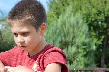 The boy stands on a small bridge and looks thoughtfully into the distance.