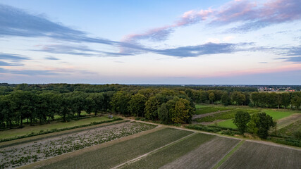 Land or landscape of green field in aerial view. Include agriculture farm, house building, village. That real estate or property. Plot of land for housing subdivision, development, sale or investment