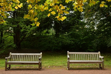 Deux bancs sous les feuilles dorées au parc Tournay Solvay à Watermael-Boitsfort