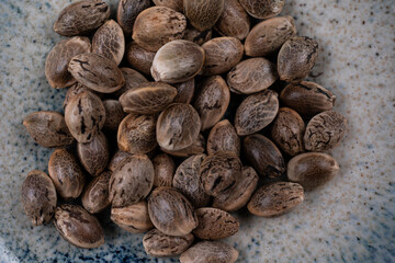 Close up top view of unpeeled hemp seeds in round bowl isolated on white background