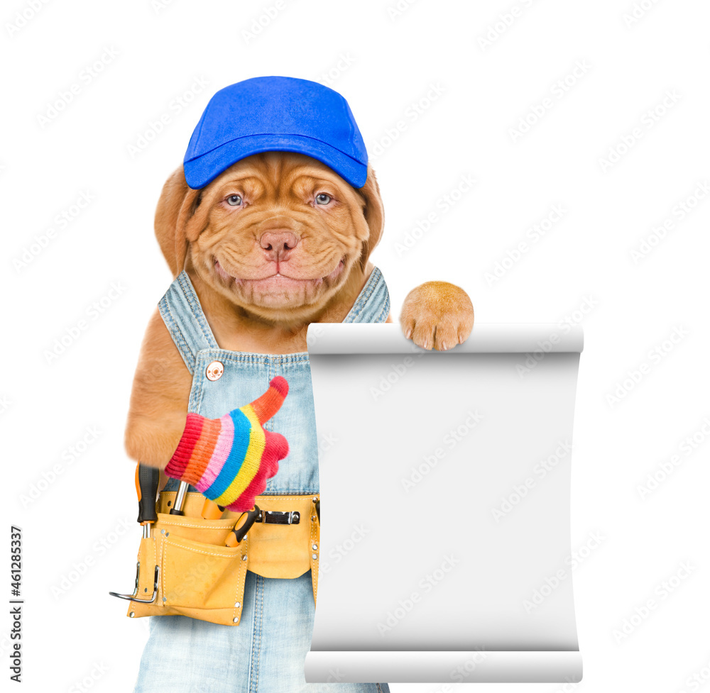 Poster Funny puppy wearing blue cap and  overalls with tool belt shows empty list and thumbs up gesture. Isolated on white background
