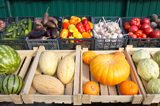 Vegetables and fruits on the market counter. The boxes contain: cucumbers, eggplants, peppers, garlic, tomatoes, watermelons, melons, pumpkins, cabbage.