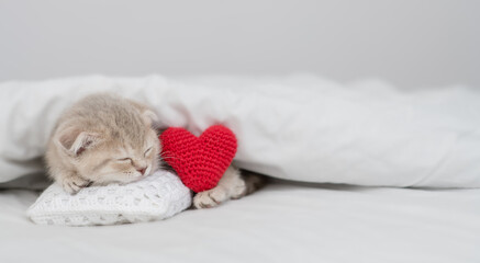 Cute kitten sleeps and hugs red heart on a bed under warm white blanket. Valentines day concept....