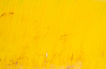 The surface of banana leaves changes from green to yellow.Use for texture background.