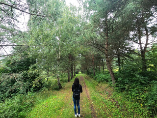 Fototapeta premium View of the forest path in the town of Stara Lubovna in Slovakia
