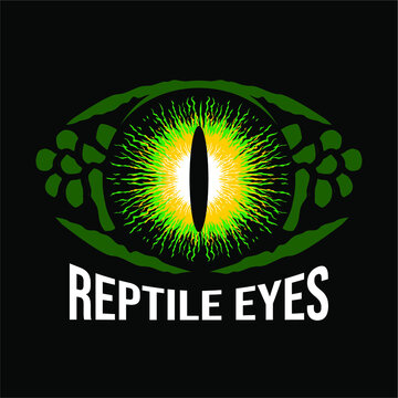 Reptile eyes Logo Vector Template, Design element for logo, poster, card, banner, emblem, t shirt. Vector illustration