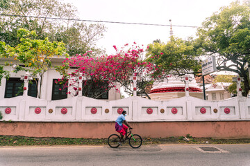 Piękna świątynia buddyjska, w otoczeniu kwiatów i drzew. © insomniafoto