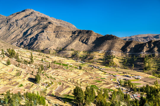 Terraced fields at Huambo near the Colca Canyon in Peru