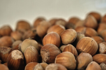 Ripe hazelnuts