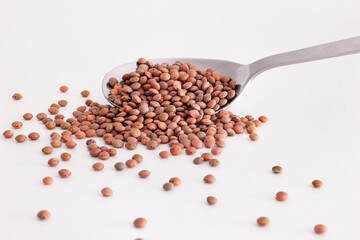 Raw uncooked lentils on a silver spoon on white background, close up, no people