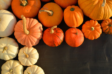 Autumn pumpkins border background.
