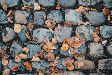 Old pink crushed stone pavement with moss texture between background
