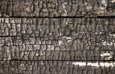 Texture of a burnt and charred wall made of planks close-up, selective focus.