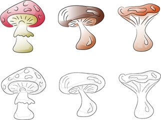 mushrooms set. children's coloring, line art. vegan art