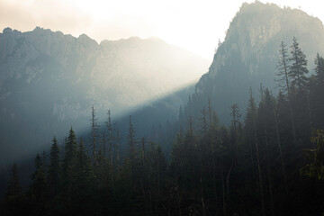 fog in the mountains © Sieku Photo