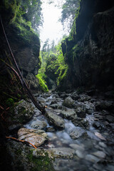 waterfall in the forest