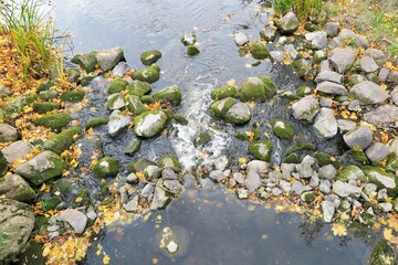 water drops on the rocks