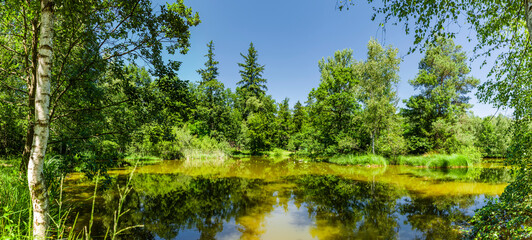 Spiegelnder Waldsee im Steigerwald in Franken