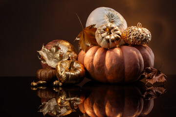 Variety decorative gourds and pumpkins. Autumn composition  for halloween.