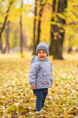 A small child walks in October in the park in the afternoon on autumn leaves and laughs
