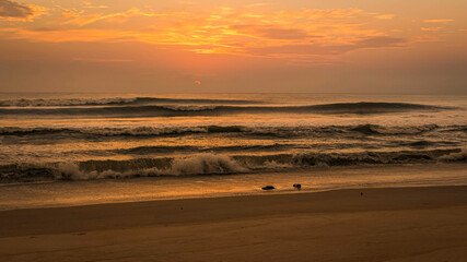 Panoramic Golden Morning on the Beach
