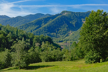 Fototapeta premium Mountains with green forests on a sunny summer morning, in the Romanian countryside neat Gura Sirului, Buzau, Transylvania, Romania 