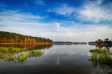 reflection of trees in the lake