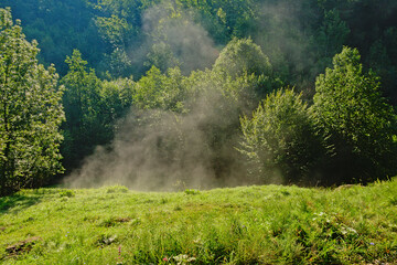 Morning mist rising under the first sun rays in a meadow with trees in the Romanian countryside 