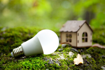 house and light bulb on green moss