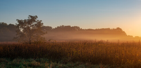 Obraz na płótnie Canvas 655-82 Sunrise Mist, Springbrook Prairie