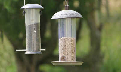 A seed feeder at bird table