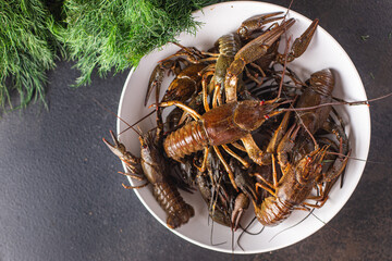 crayfish raw fresh seafood meal snack on the table copy space food background rustic 