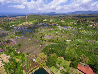 An aerial view on rice fields on Bali island in Indonesia
