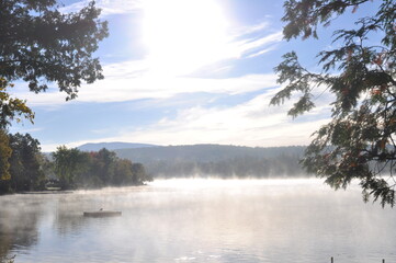 Lone Bird on Lone Raft on Lonely Lake Morning