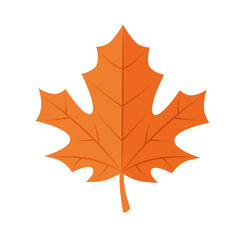 autumn maple leaf icon