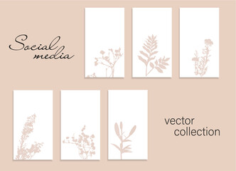 Social media template set with different plants and flowers. Editable stories banners or post. 
6 vertical posters for promotion, corporate style, branding, ads design. Mockup. EPS10.