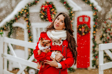 Pretty brunette woman in red winter coat and white scarf holding stylish dressed Chihuahua and Yorkie against Christmas decorations. Focus is at the woman. Snowing. Holiday concept.