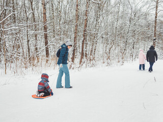 Woman carries child on sledge along path in winter forest. Outdoor leisure activity in cold snowy season.