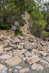 Ancient cemetery. Ruins of Phaselis city in North harbour. Famous architectural landmark. Turkey.