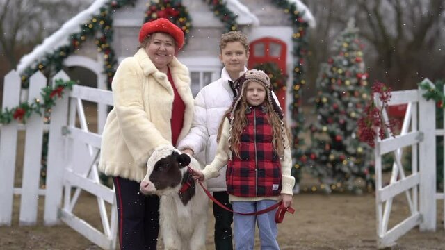 Adult woman in white winter coat and red hat posing with young bull and kids against white wooden Christmas fence and decorated house. Snowing. Holiday concept