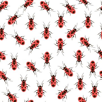 Seamless pattern with red firebug . Pyrrhocoris apterus. Vector illustration