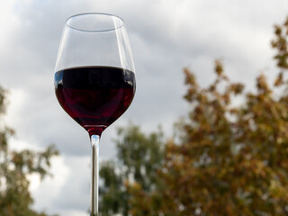 A glass of red wine against the background of autumn trees and the sky with white clouds.