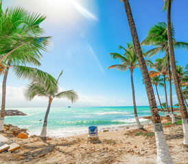 Palms and beach chair in Guadeloupe