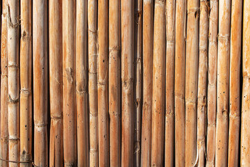Brown cane fence. Natural background.