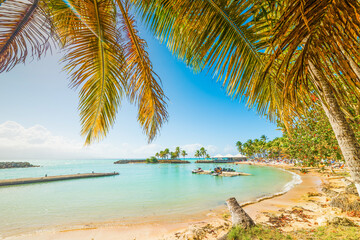 Fototapeta na wymiar Palm trees and colorful shore in Bas du Fort beach